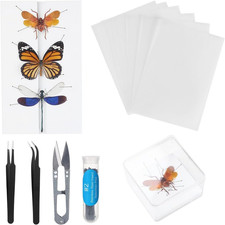Making Insect Specimen Tools Kit, Insect Pins,Insect Pinning Board, Wings picture
