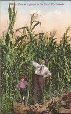 AGRICULTURE:  Corn from the Great Northwest picture