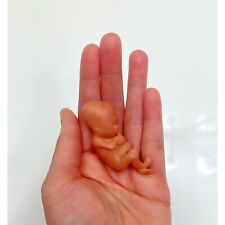 12 Weeks Baby Fetus, Stage of Fetal Development (Memorial/Miscarriage/Keepsake) picture