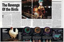 2004 Time The Revenge of the Birds Avian Flu Magazine Print Ad/Poster/Article picture