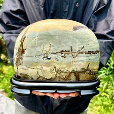 16.3LB  Natural Chinese tree like limestone image, stone Guohua ball picture