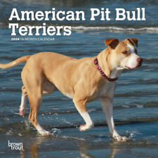 Browntrout American Pit Bull Terriers 2024 7 x 7 Mini Calendar w picture