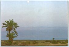 Postcard - The Dead Sea, Jericho, Palestine picture