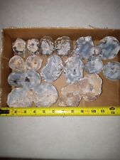 Geodes 8 pounds 8 oz of Choyas, Trancas, Crystal Canyon geodes and agate lot. #1 picture