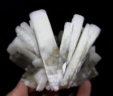 990g 105mm POWERFUL Bicolored Barite (two generations) from China CMM404619 picture
