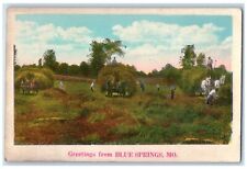 c1920s Greetings From Blue Springs Horses Missouri MO Unposted Vintage Postcard picture
