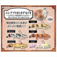 West African Fat tailed Gecko Mascot figure Full set 5 types J.DREAM Capsule Toy picture
