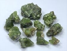 295 Gram Peridot Crystals Specimen lot From Pakistan - 13 Pcs  picture