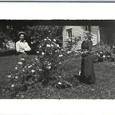 c1910s Outdoor Huge Rose Bush RPPC Man Woman House Yard Real Photo Flowers A162 picture