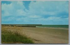 South Carolina Edisto Island Beach c1960 Chrome Postcard picture