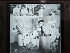 The Prevention Of Disease Glass Magic Lantern Slide Keystone Science Horses picture