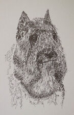 BOUVIER des FLANDRES DOG BREED ART PORTRAIT PRINT #93 Kline adds dog name free. picture