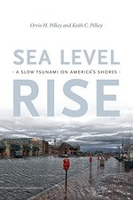 Sea Level Rise: A Slow Tsunami on America's Shores picture