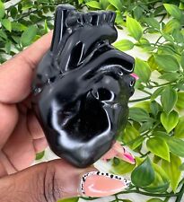 Obsidian anatomical heart - 3