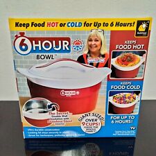 Insulated Food Container 6 Hour Bowl Brand New Hot or Cold 