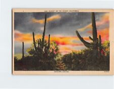 Postcard Sunset on the Desert Saguaro Cactus California USA picture