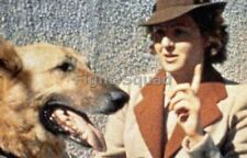 WW2 Picture Photo Eva Braun with German Leader Dog 3283 picture