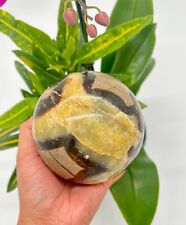 Impressive 2 lb 14 oz Septarian Sphere - Natural Geode Beauty and Earth's Ancien picture