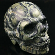 1pc Natural Kambaba Jasper Quartz Crystal Skull Carved Skull Reiki Healing 2” picture