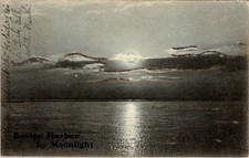 Boston MA Harbor by Moonlight Glitter Printed Postcard 1906 Posted picture