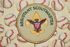 Assistant Scoutmaster 3