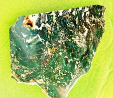 Polished Green Petrified  Slab of Jasperized Wood Hampton Butte, Or~ ~11 Ounces~ picture