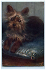Postcard Yorkshire Terrier Sitting at a Pillow c1910 Antique Oilette Tuck Dogs picture