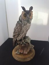 G. Armani Long Eared Owl Wildlife Florence Capodimonte Predator 12” T Standing  picture