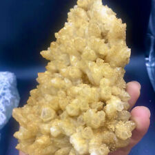 2.11LB Large Natural yellow Crystal Himalayan quartz cluster /mineralsls picture