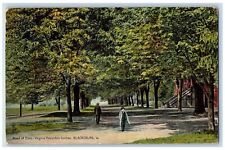 Blacksburg Virginia VA Postcard Road Of Elms-Virginia Polytechnic Institute 1913 picture