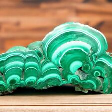 HIGH QUALITY 4 1/4 INCH MALACHITE SLAB ZAIRE AFRICA 114 GRAMS picture