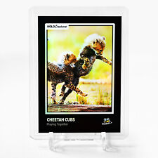 CHEETAH CUBS Photo Trading Card 2023 GleeBeeCo Holo Creatures #CHPL picture