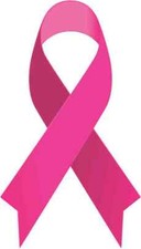 3 x 5 Pink Breast Cancer Ribbon Sticker Vinyl Awareness Vehicle Decal Stickers picture