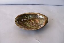 Vintage Sea Shell Abalone Ear Shells Sea Ears Muttinshells Soap Pot Decorative