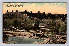Black Hills SD-South Dakota, US Fish Hatchery, Spearfish, Vintage Postcard picture