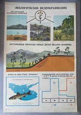 Vintage Soviet School Biology Wall Chart Ecological Speciation Trout Fish 1980 picture