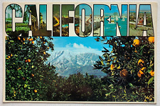 Southern California Winter Postcard 1984 Vintage Posted Chrome Divided Back picture