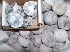 1 pound lbs of saw your own semi hollow Druzy Mist geodes per lot.   picture