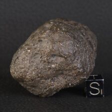 Meteorite Jikharra 001 Of 78,23 G Achondrite Eucrite Melt Breccia Hed #D82.1-22 picture