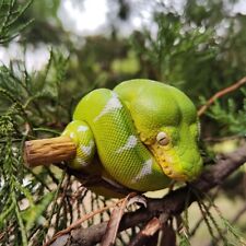 【In-Stock】 Animal Heavenly Body Emerald Tree Boa Corallus caninus Snake Statue picture