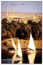 Nile River Egypt Scenic Desert Palm Trees Landscape Sailboats WB Postcard picture