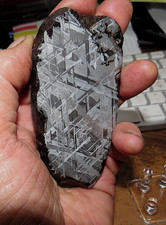 large 308 gm. muonionalusta meteorite SLICE etched sweden std slab .68# picture