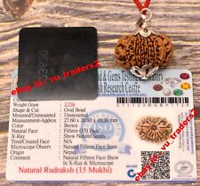 15 Mukhi Rudraksha Fifteen Face Rudraksh Nepal Bead Lab Certified Size 27.60 MM picture