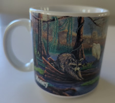 Vintage 1986 Friends of the Wetlands Money Magazine Raccoon Coffee Mug picture