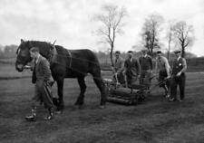 Members Birmingham Football team follow a horse which pulls a mach- 1930s Photo picture