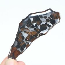 13g Meteorites slice，Rare slices of Kenyan Pallasite olive meteorite  F4213 picture
