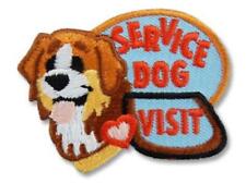 Boy Girl Cub Disabled SERVICE DOG VISIT Blind Fun Patches Badges SCOUT GUIDES picture