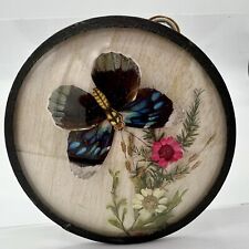 Vintage Dried Flower Real Butterfly Round Framed  Taxidermy Wall Art Blue Pink picture