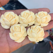 5pc  Psychotherapy of Natural Talua Nut Flower Skeleton Carving picture