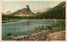 Vintage Postcard- 34. ST MARY MEADOW, GLACIER NTL PARK, MT. UnPost 1910 picture